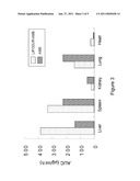 GEL-STABILIZED LIPOSOME COMPOSITIONS, METHODS FOR THEIR PREPARATION AND USES THEREOF diagram and image