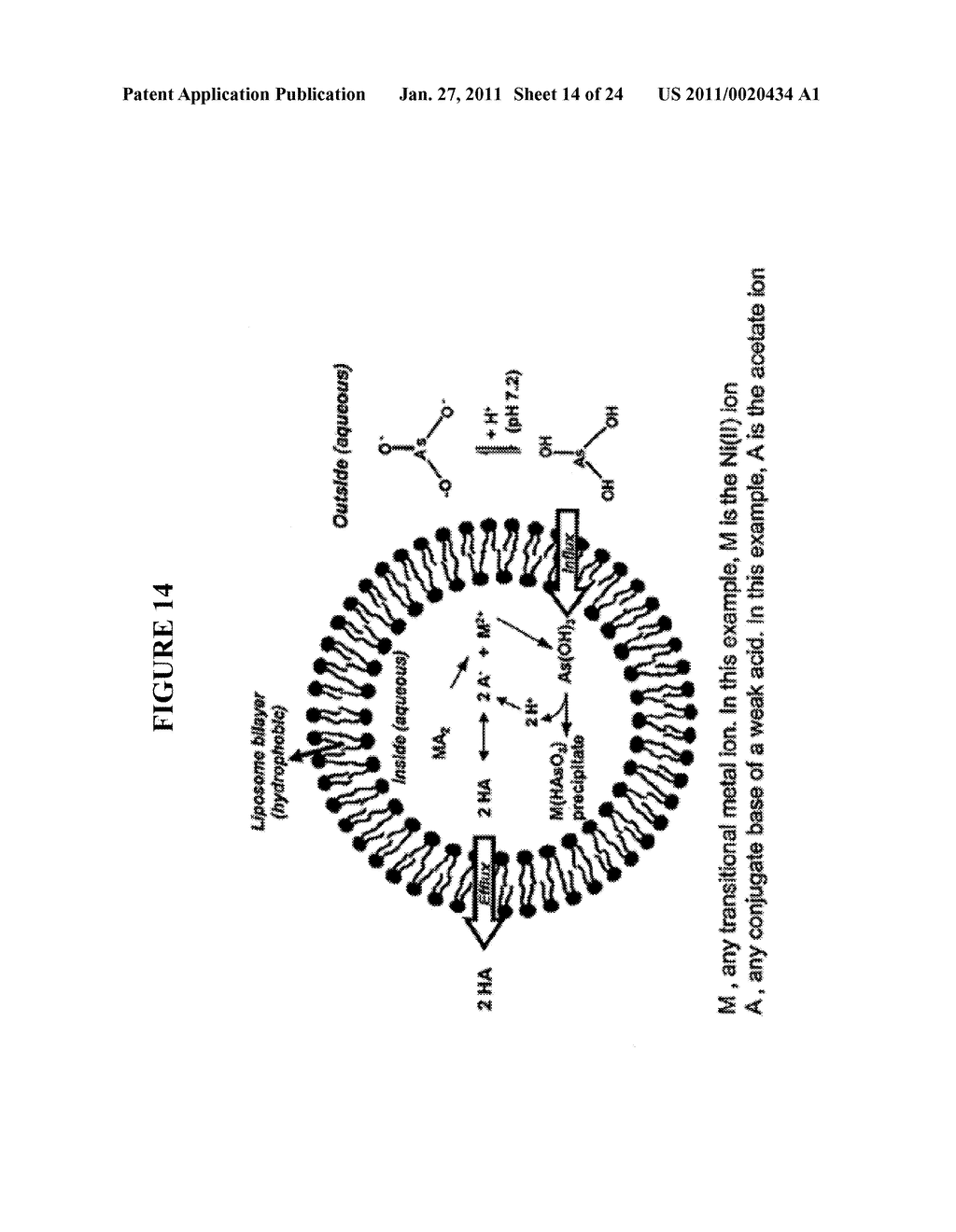 NANOPARTICLE ARSENIC-PLATINUM COMPOSITIONS - diagram, schematic, and image 15