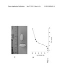 SLOW RELEASE MAGNESIUM COMPOSITION AND USES THEREOF diagram and image