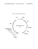 GPR 119 MODULATORS diagram and image