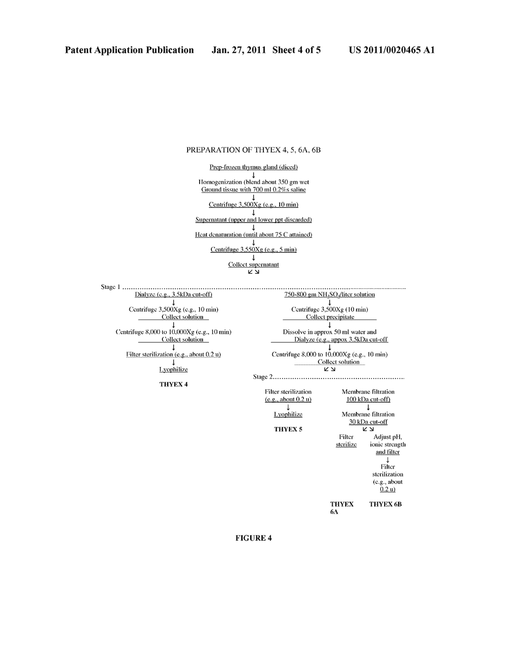 METHODS OF TREATMENT OF GOUT USING THYMUS-DERIVED COMPOSITIONS - diagram, schematic, and image 05