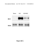 METHOD FOR TREATING NEURAL INJURIES diagram and image