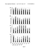 (ARABINO)XYLAN OLIGOSACCHARIDE PREPARATION diagram and image