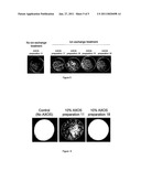 (ARABINO)XYLAN OLIGOSACCHARIDE PREPARATION diagram and image