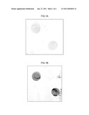 METHOD FOR IMMOBILIZATION, PHYSIOLOGICALLY ACTIVE SUBSTANCE-IMMOBILIZED CARRIER, CARRIER FOR IMMOBILIZATION, CARRIER, AND PROCESS FOR PRODUCING CARRIER diagram and image