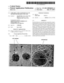 Core-Shell Type Nanoparticles and Method For Preparing The Same diagram and image