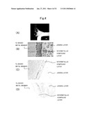 METHOD FOR JOINING METALLIC MEMBERS, JOINT STRUCTURE AND BRAZING FILLER METAL diagram and image