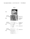 METHOD FOR JOINING METALLIC MEMBERS, JOINT STRUCTURE AND BRAZING FILLER METAL diagram and image