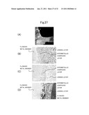 METHOD FOR JOINING METALLIC MEMBERS, JOINT STRUCTURE AND BRAZING FILLER METAL diagram and image