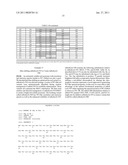 RED FLUORESCENT PROTEINS WITH ENHANCED BACTERIAL EXPRESSION, INCREASED BRIGHTNESS AND REDUCED AGGREGATION diagram and image