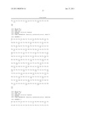 RED FLUORESCENT PROTEINS WITH ENHANCED BACTERIAL EXPRESSION, INCREASED BRIGHTNESS AND REDUCED AGGREGATION diagram and image