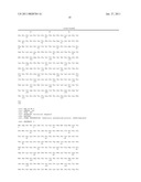 RED FLUORESCENT PROTEINS WITH ENHANCED BACTERIAL EXPRESSION, INCREASED BRIGHTNESS AND REDUCED AGGREGATION diagram and image