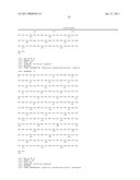 RED FLUORESCENT PROTEINS WITH ENHANCED BACTERIAL EXPRESSION, INCREASED BRIGHTNESS AND REDUCED AGGREGATION diagram and image