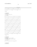 PEPTIDE DENDRIMERS: AFFINITY REAGENTS FOR BINDING NOROVIRUSES diagram and image