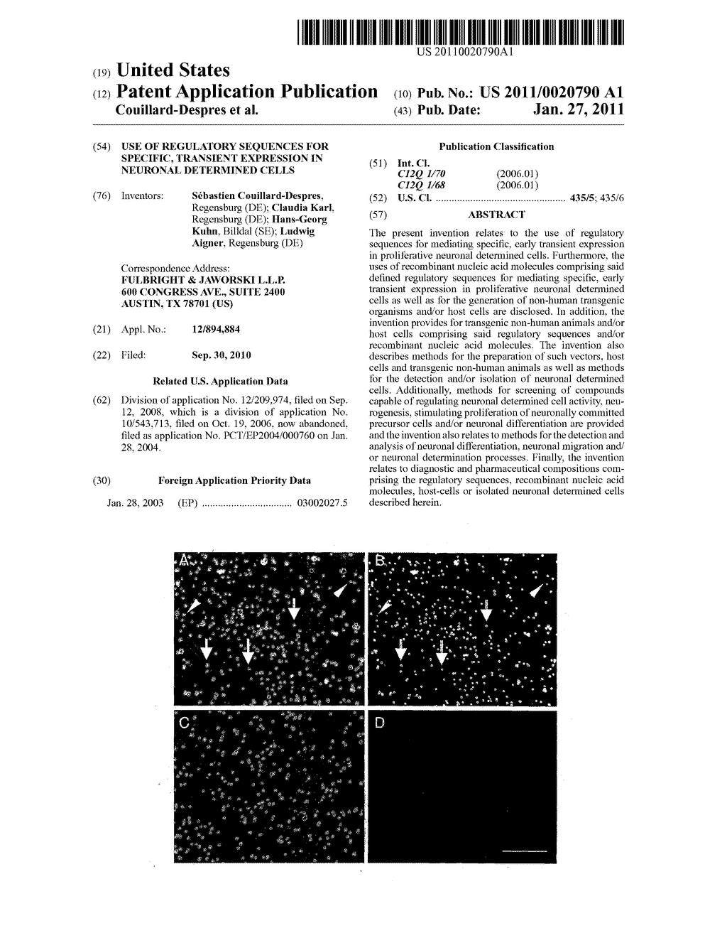 USE OF REGULATORY SEQUENCES FOR SPECIFIC, TRANSIENT EXPRESSION IN NEURONAL DETERMINED CELLS - diagram, schematic, and image 01