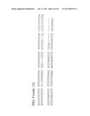 USE OF REGULATORY SEQUENCES FOR SPECIFIC, TRANSIENT EXPRESSION IN NEURONAL DETERMINED CELLS diagram and image