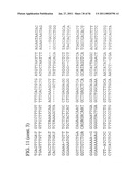 USE OF REGULATORY SEQUENCES FOR SPECIFIC, TRANSIENT EXPRESSION IN NEURONAL DETERMINED CELLS diagram and image