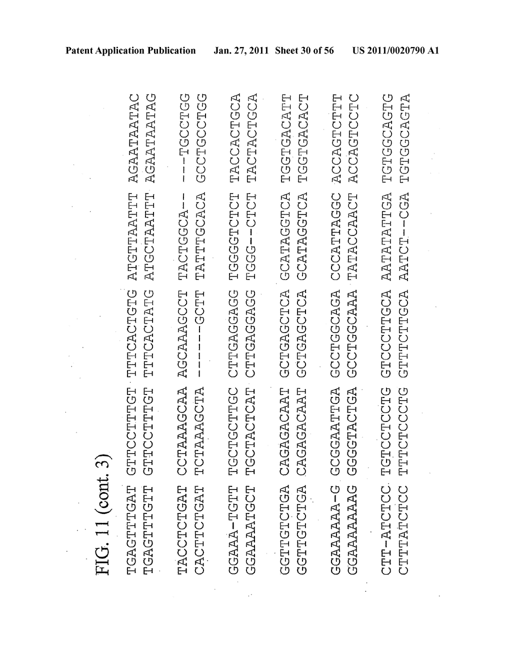 USE OF REGULATORY SEQUENCES FOR SPECIFIC, TRANSIENT EXPRESSION IN NEURONAL DETERMINED CELLS - diagram, schematic, and image 31