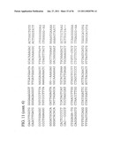 USE OF REGULATORY SEQUENCES FOR SPECIFIC, TRANSIENT EXPRESSION IN NEURONAL DETERMINED CELLS diagram and image