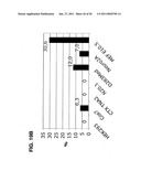 USE OF REGULATORY SEQUENCES FOR SPECIFIC, TRANSIENT EXPRESSION IN NEURONAL DETERMINED CELLS diagram and image