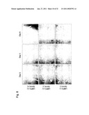 DETECTION OF UTERINE LEIOMYOSARCOMA USING LMP2 diagram and image