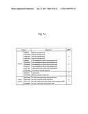 DETECTION OF UTERINE LEIOMYOSARCOMA USING LMP2 diagram and image