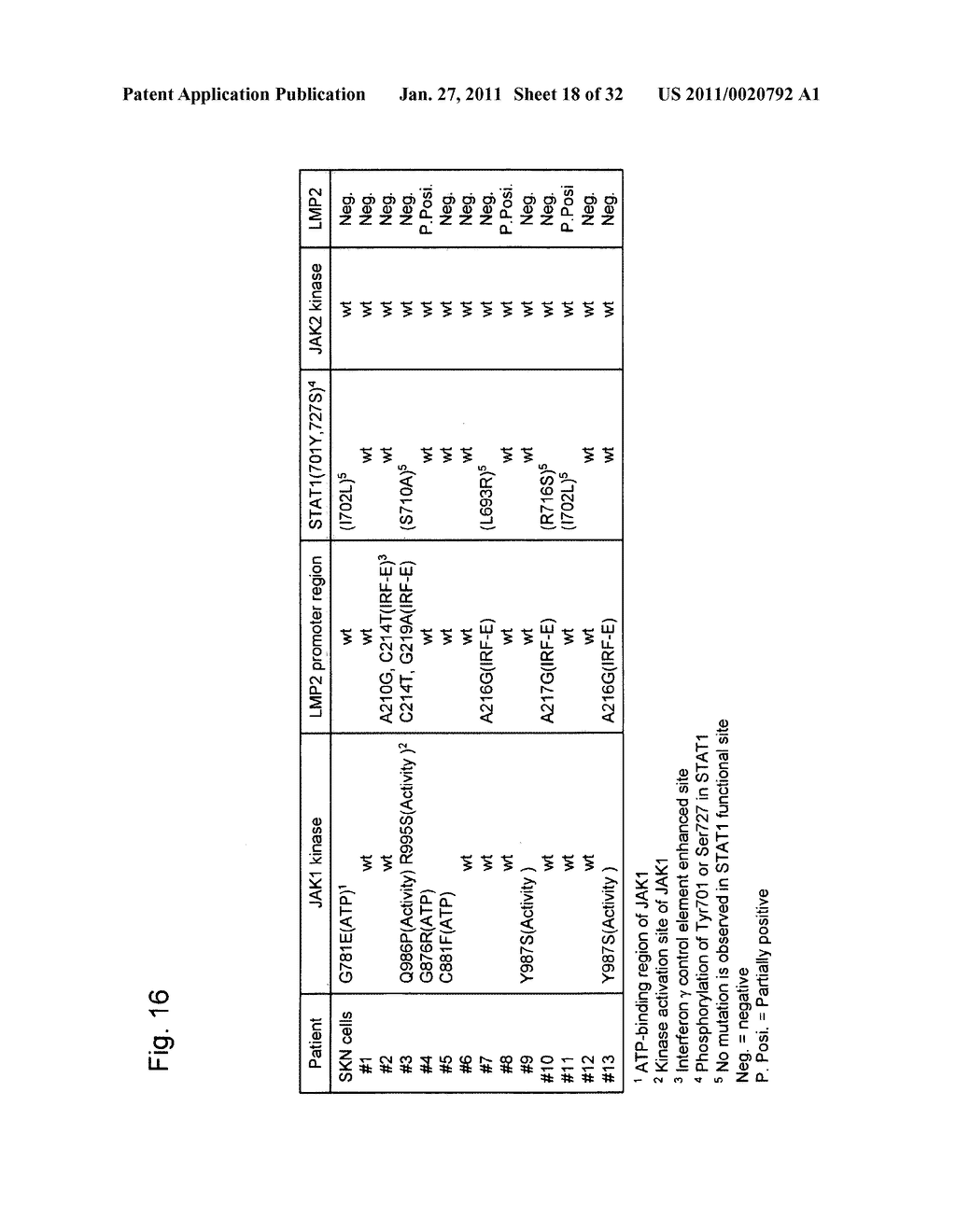 DETECTION OF UTERINE LEIOMYOSARCOMA USING LMP2 - diagram, schematic, and image 19