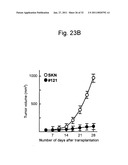 DETECTION OF UTERINE LEIOMYOSARCOMA USING LMP2 diagram and image