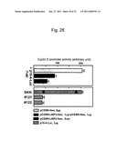 DETECTION OF UTERINE LEIOMYOSARCOMA USING LMP2 diagram and image