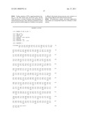 DETECTION OF UTERINE LEIOMYOSARCOMA USING LMP2 diagram and image