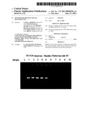 METHOD FOR THE DETECTION OF DIAGNOSTIC RNA diagram and image