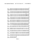 Carboxylesterase-1 Polymorphisms and Methods of Use Therefor diagram and image