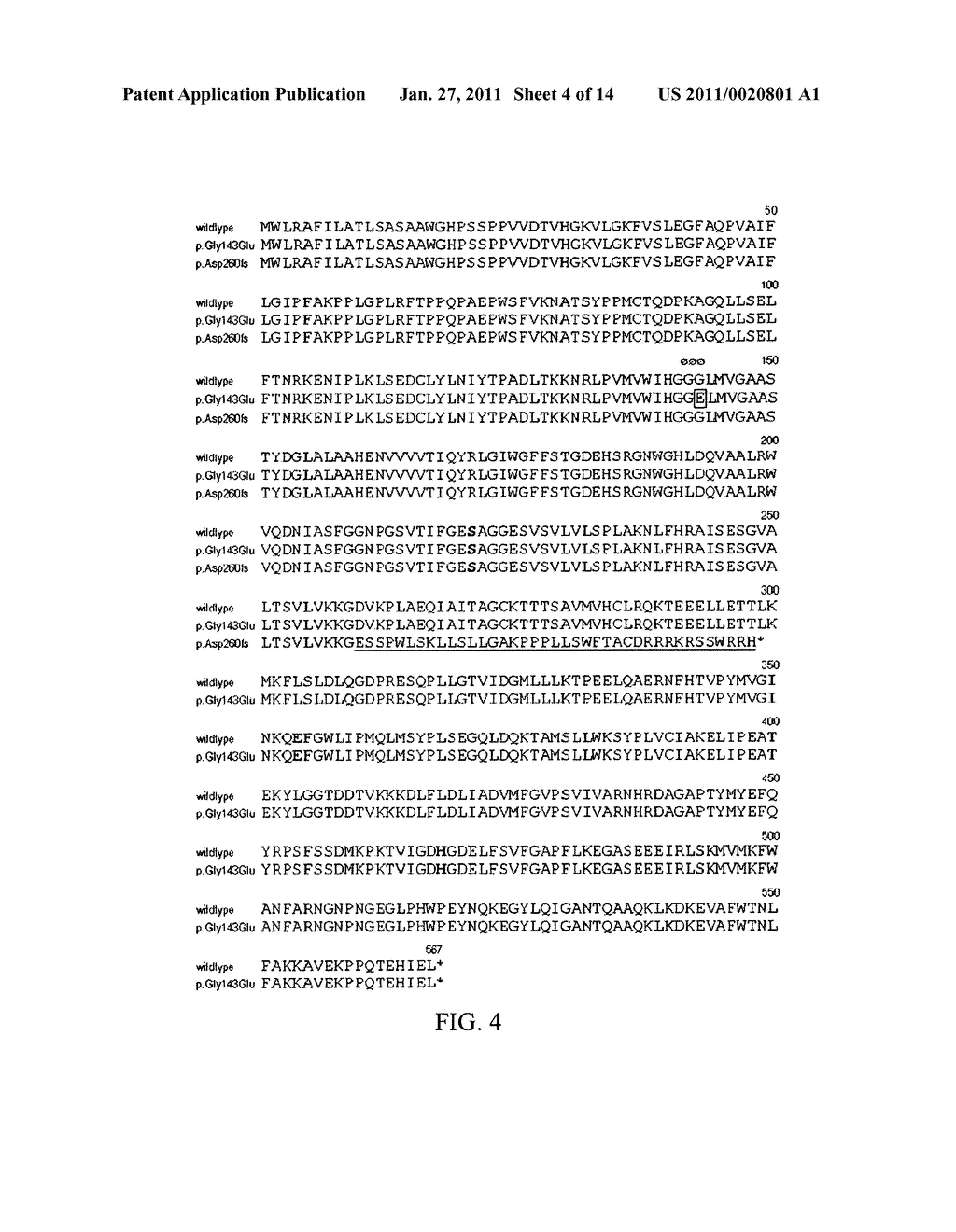 Carboxylesterase-1 Polymorphisms and Methods of Use Therefor - diagram, schematic, and image 05