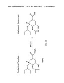 Carboxylesterase-1 Polymorphisms and Methods of Use Therefor diagram and image