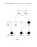 NUCLEIC ACIDS, METHODS AND KITS FOR THE DIAGNOSIS OF DYT6 PRIMARY TORSION DYSTONIA diagram and image