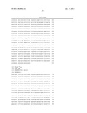 NUCLEIC ACIDS, METHODS AND KITS FOR THE DIAGNOSIS OF DYT6 PRIMARY TORSION DYSTONIA diagram and image