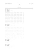 NUCLEIC ACIDS, METHODS AND KITS FOR THE DIAGNOSIS OF DYT6 PRIMARY TORSION DYSTONIA diagram and image