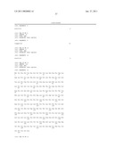 NUCLEIC ACIDS, METHODS AND KITS FOR THE DIAGNOSIS OF DYT6 PRIMARY TORSION DYSTONIA diagram and image