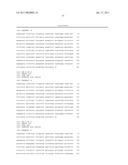 NUCLEIC ACIDS, METHODS AND KITS FOR THE DIAGNOSIS OF DYT6 PRIMARY TORSION DYSTONIA diagram and image