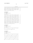 NUCLEIC ACIDS, METHODS AND KITS FOR THE DIAGNOSIS OF DYT6 PRIMARY TORSION DYSTONIA diagram and image