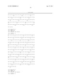 NUCLEIC ACIDS, METHODS AND KITS FOR THE DIAGNOSIS OF DYT6 PRIMARY TORSION DYSTONIA diagram and image