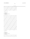 NUCLEIC ACIDS, METHODS AND KITS FOR THE DIAGNOSIS OF DYT6 PRIMARY TORSION DYSTONIA diagram and image