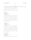 NUCLEIC ACIDS, METHODS AND KITS FOR THE DIAGNOSIS OF DYT6 PRIMARY TORSION DYSTONIA diagram and image