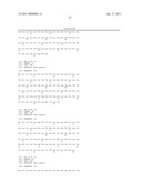 NUCLEIC ACIDS, METHODS AND KITS FOR THE DIAGNOSIS OF DYT6 PRIMARY TORSION DYSTONIA diagram and image