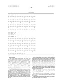 NUCLEIC ACIDS, METHODS AND KITS FOR THE DIAGNOSIS OF DYT6 PRIMARY TORSION DYSTONIA diagram and image