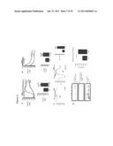 TRPC6 INVOLVED IN GLOMERULONEPHRITIS diagram and image