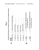 METHODS AND COMPOSITIONS FOR SELECTION OF STEM CELLS diagram and image