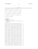 METHODS AND COMPOSITIONS FOR SELECTION OF STEM CELLS diagram and image