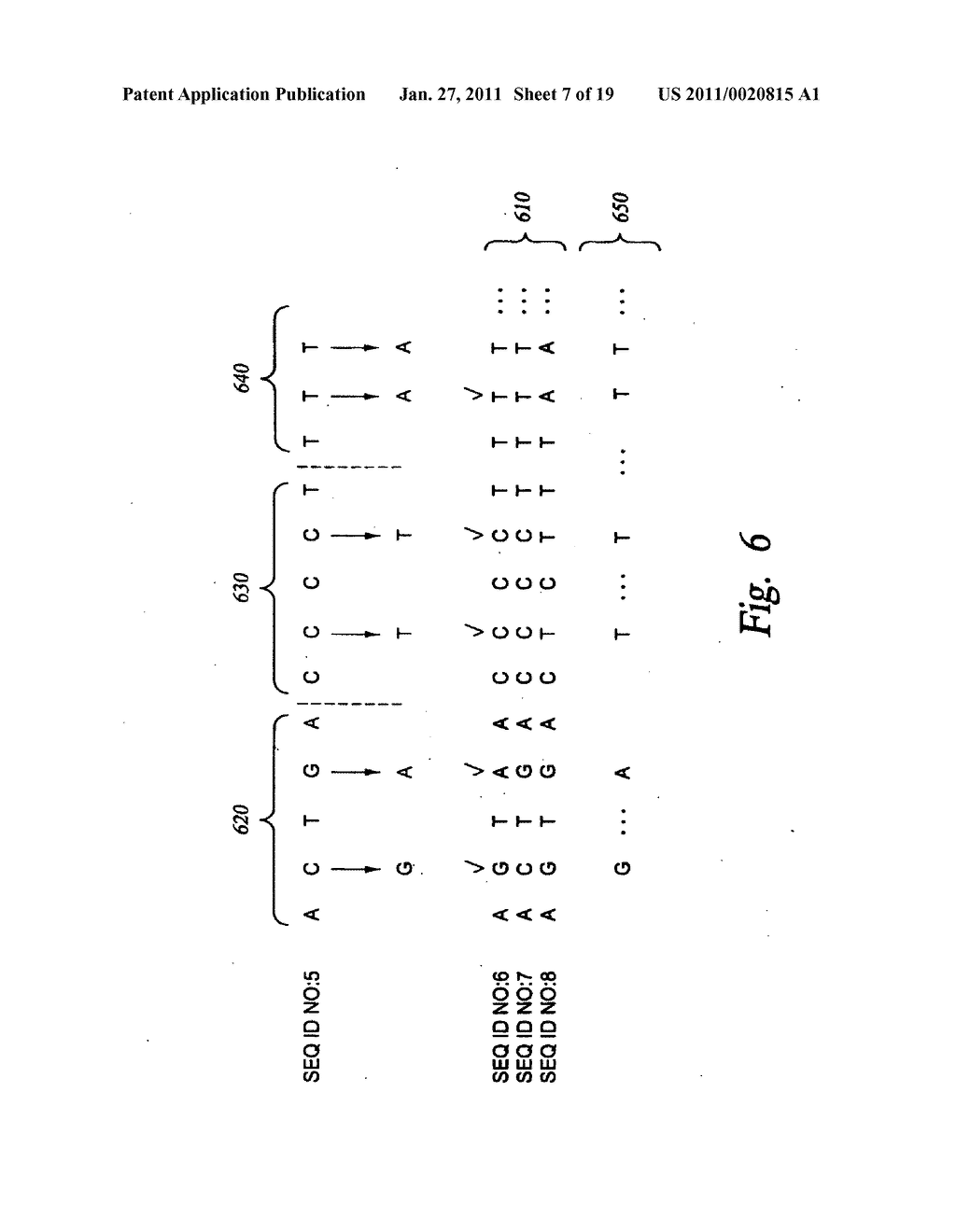 METHODS FOR GENOMIC ANALYSIS - diagram, schematic, and image 08