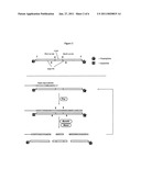 ISOTHERMAL DETECTION METHODS AND USES THEREOF diagram and image